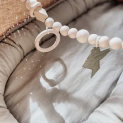 BEZISA Birds Wagenspanner Pistache Green -Babykamers Verkoopwinkel 8720618125453 1 9132